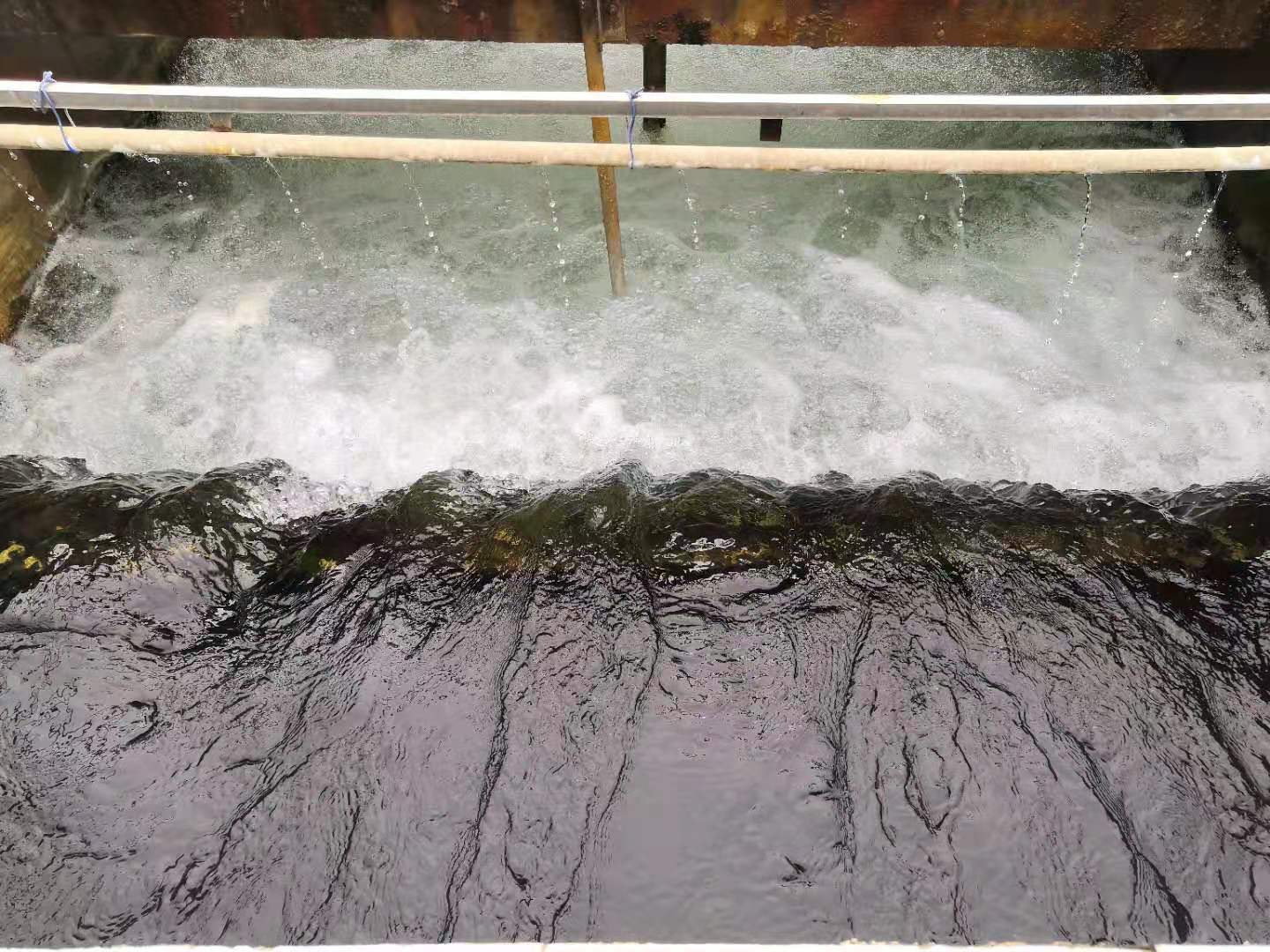 �ٲ���cbin99(�й�)�ٷ���վ